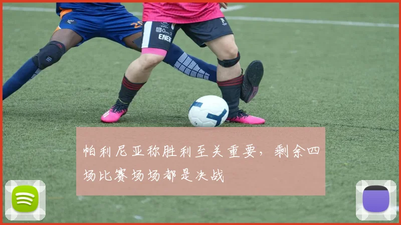 帕利尼亚称胜利至关重要，剩余四场比赛场场都是决战