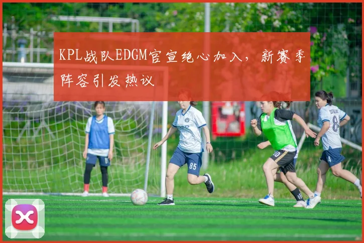 KPL战队EDGM官宣绝心加入，新赛季阵容引发热议